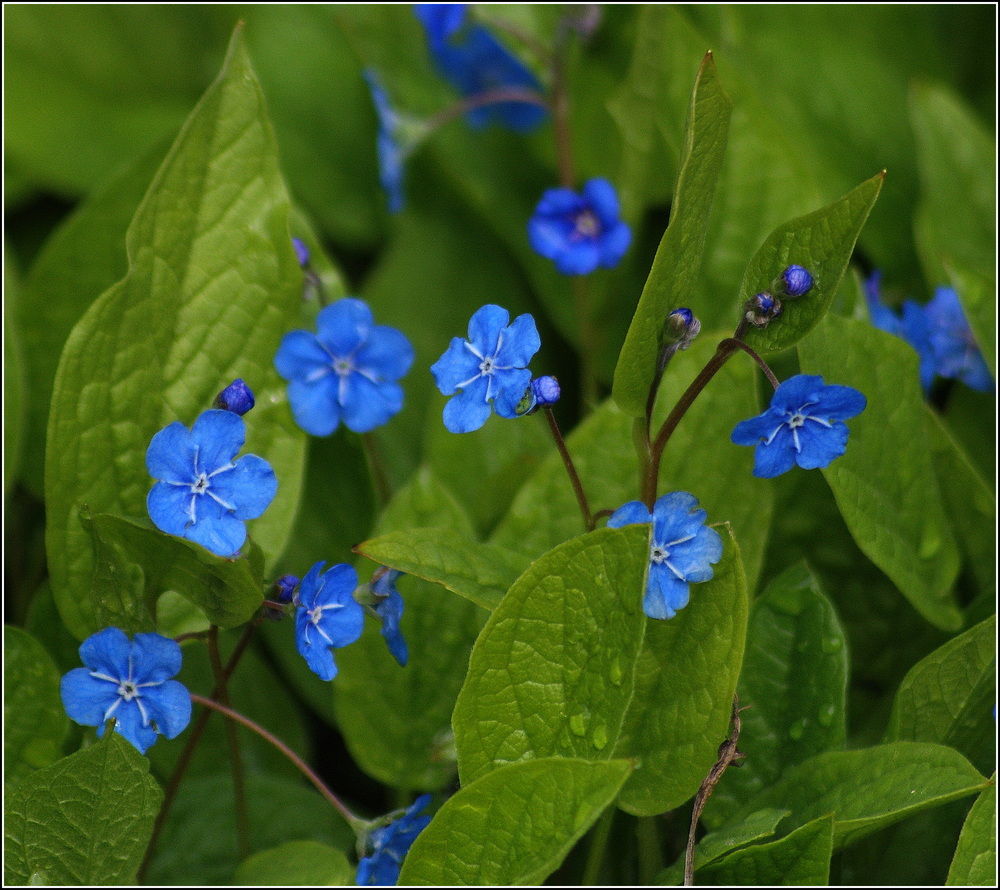 so blau.......