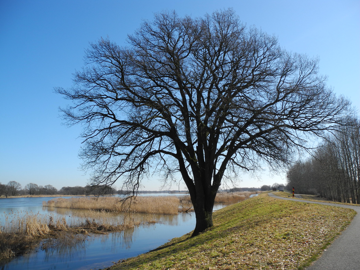 So blau war heute der Himmel über der Oder