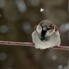 So bleiben die Füße warm...