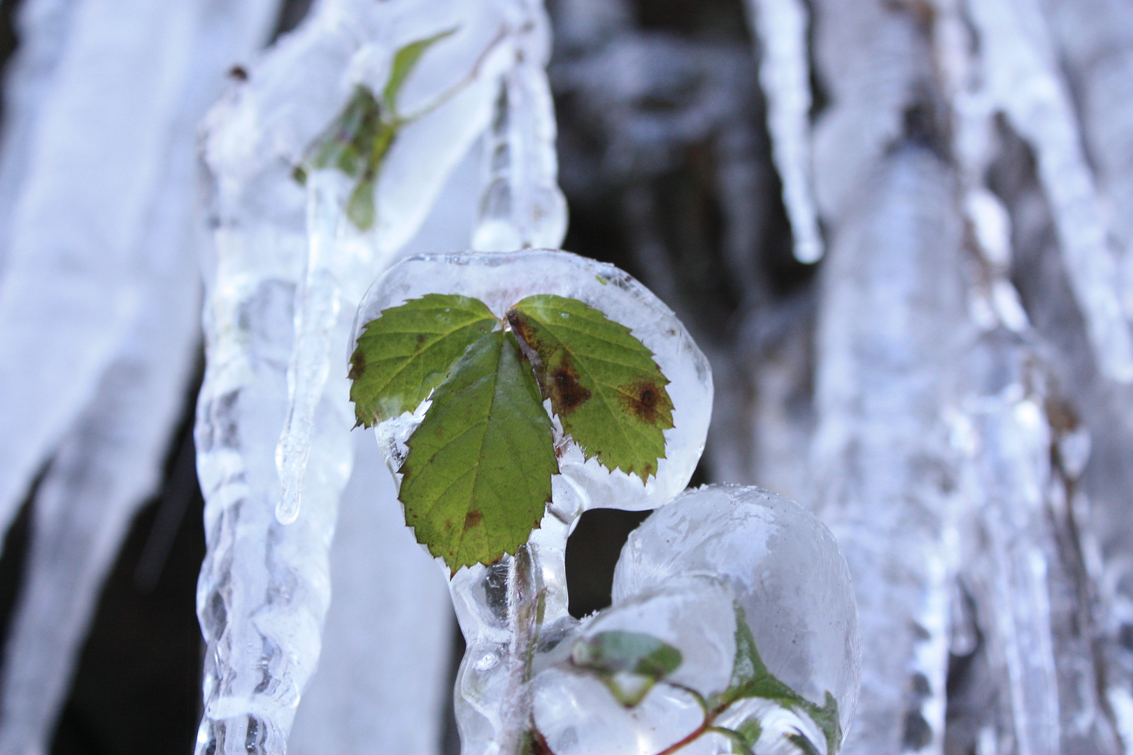 So bleibt es über den Winter frisch