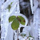 So bleibt es über den Winter frisch