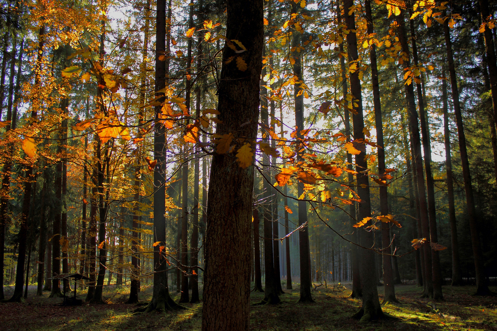 So bunt kann die Natur sein