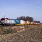 So bunt kann Eisenbahn sein