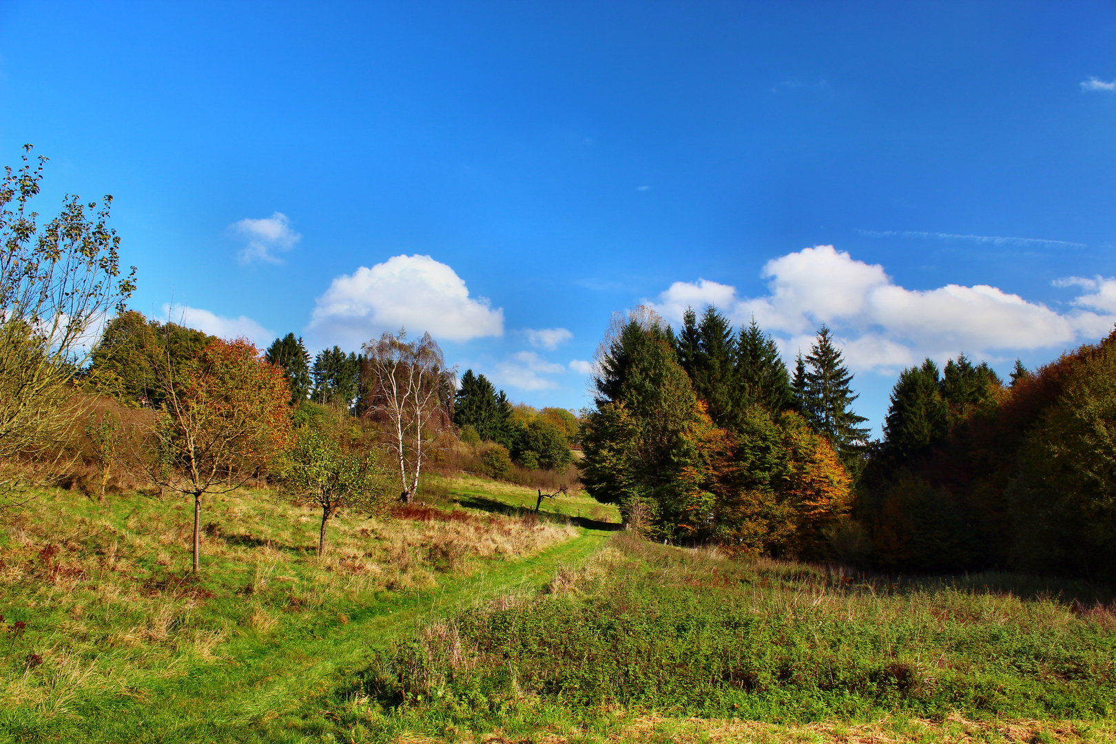 So bunt wie der Frühling