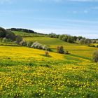 So dürfte es bald wieder aussehen in der Rhön