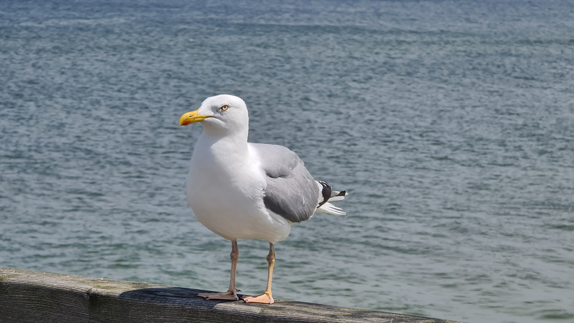 So ein böser Blick :-)