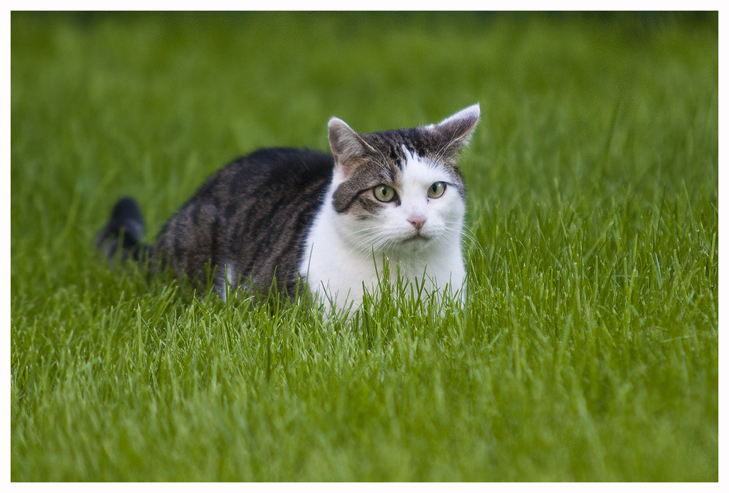 So ein eigener Garten...