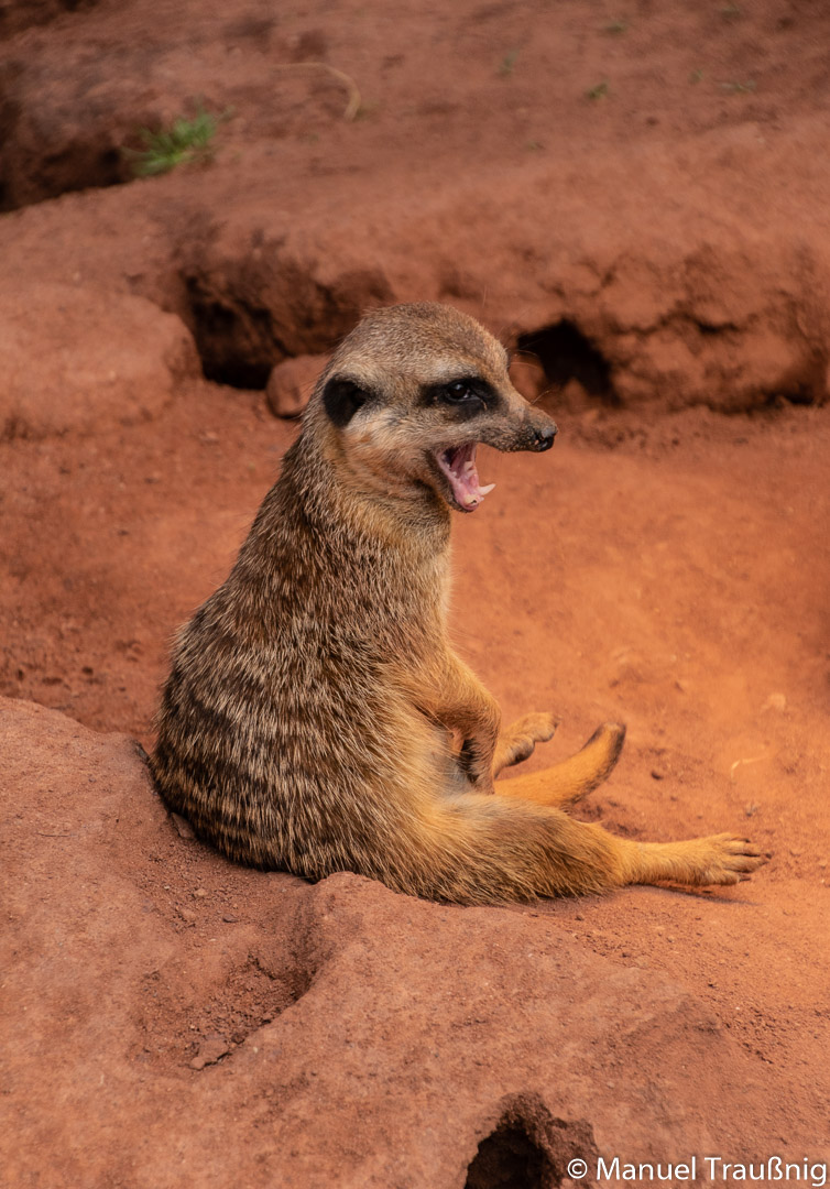 So ein Fotoshooting ist aber auch echt anstrengend