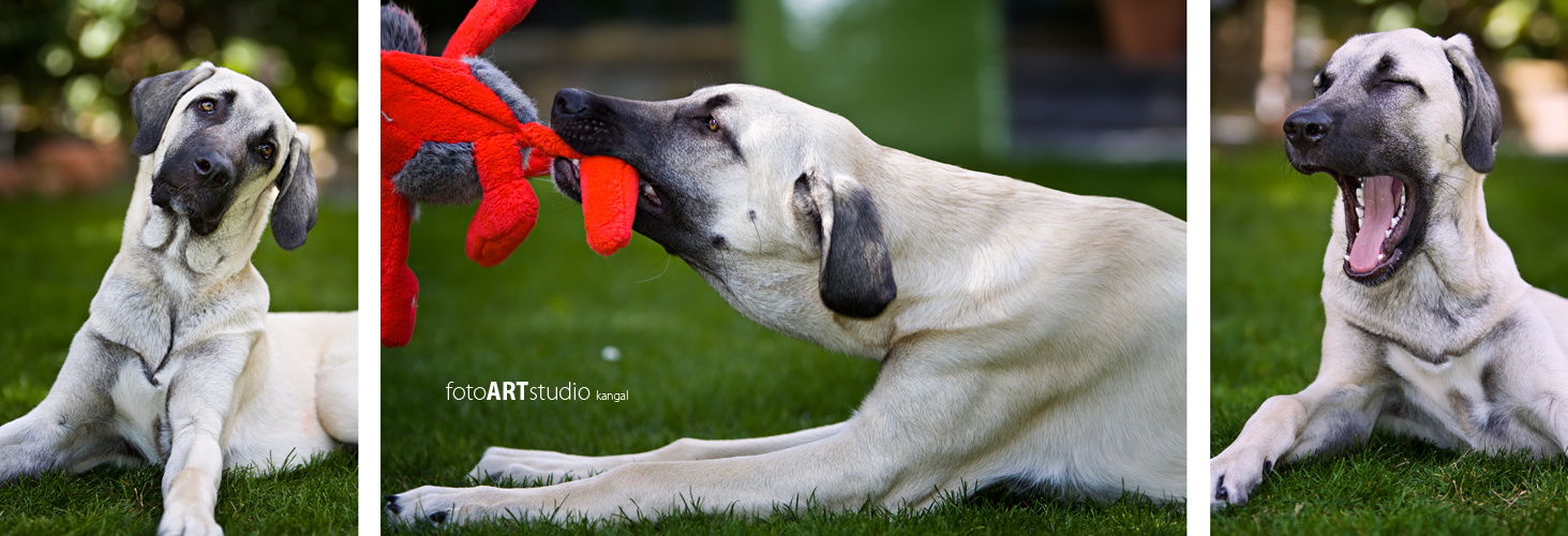 So ein Fotoshooting ist soooo anstrengend