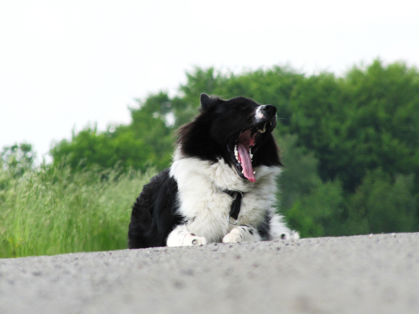 So ein Fotoshooting mach müde :D