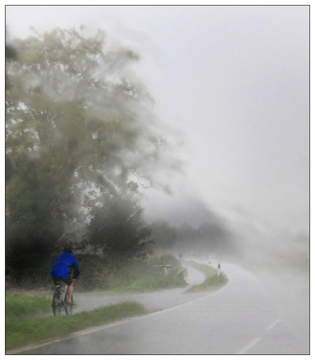 So ein hübscher Regen aber auch! (3)