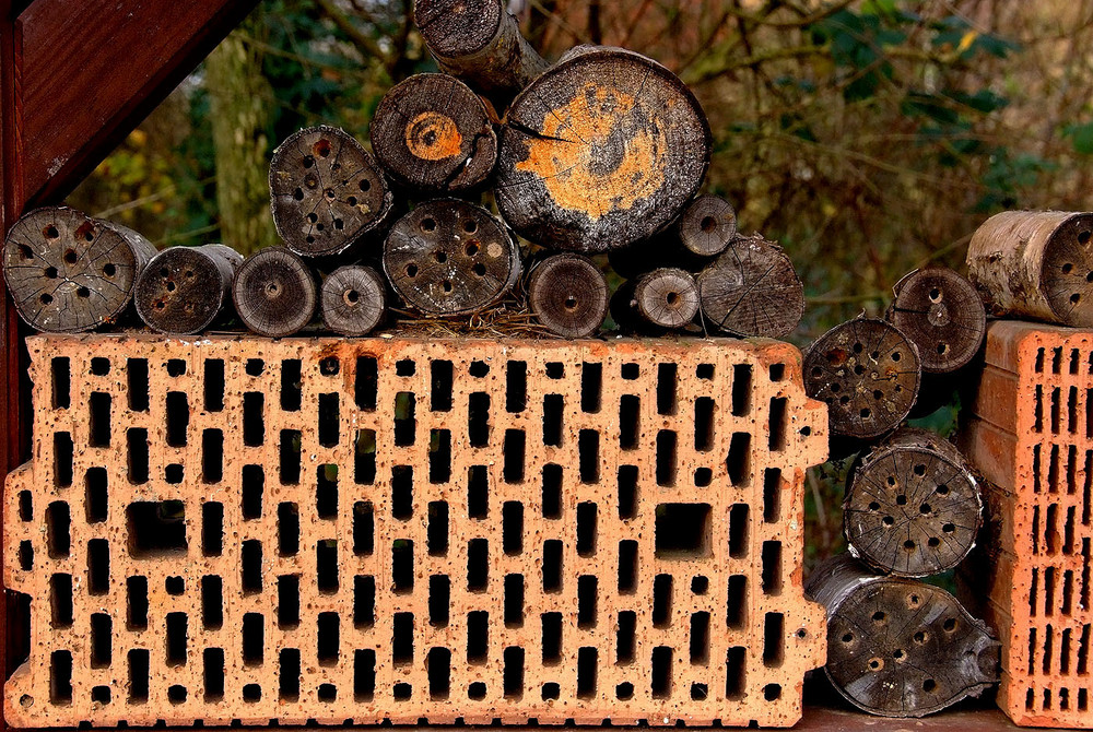 So ein Insektenhotel ...