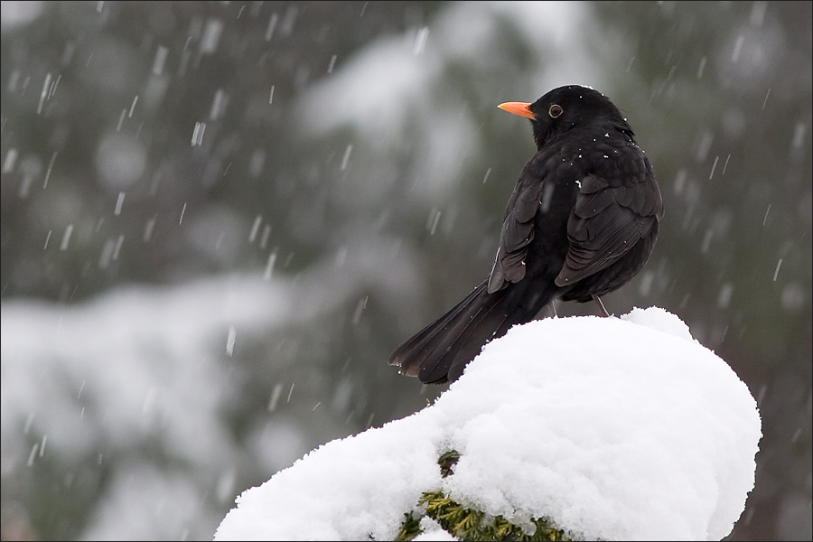 so ein Mistwetter :-((