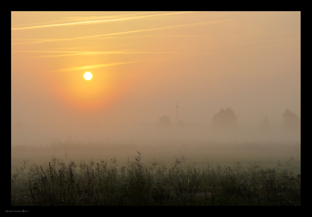 so ein schöner Morgen