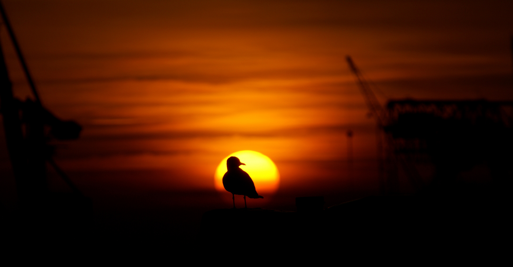 So ein schöner Sonnenuntergang...