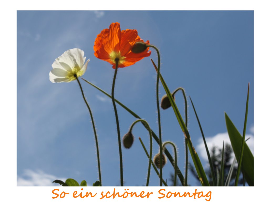 So ein schöner Sonntag