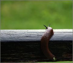 so ein Tag....so wunderschön wie heute....:)))