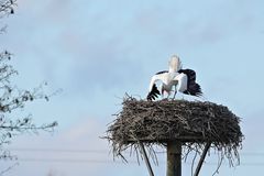 so eine Begrüßung hat man nicht alle Tage