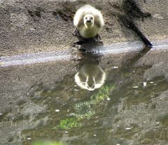 „So eine Frechheit, mich hier zu fotografieren! Verschwinde, aber schnell!!!!“