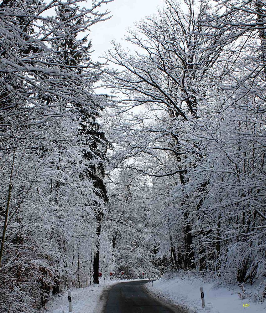 so eine Schneelandschaft wäre schön