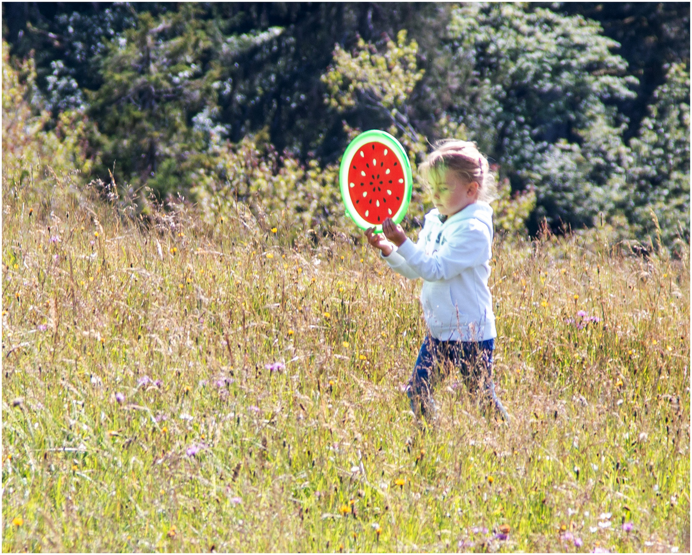 So eine schöne "Melonenscheibe"