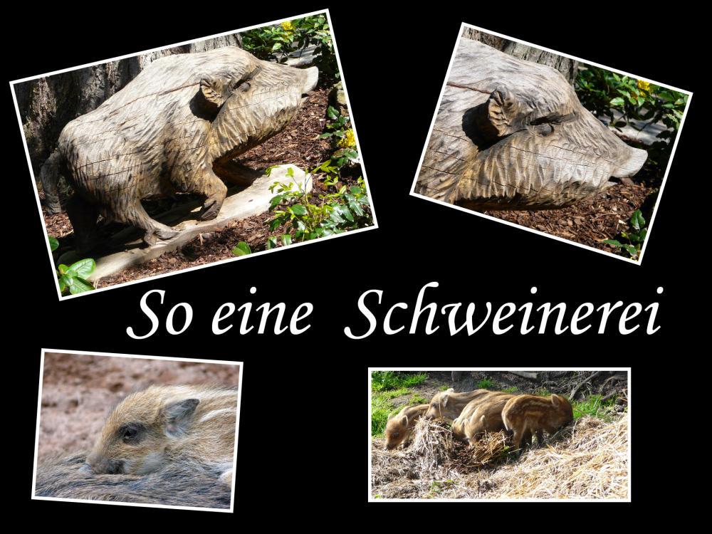 So eine Schweinerei