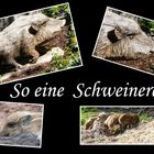 So eine Schweinerei