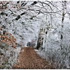 So eine Wanderung tut der Seele und dem Körper gut !