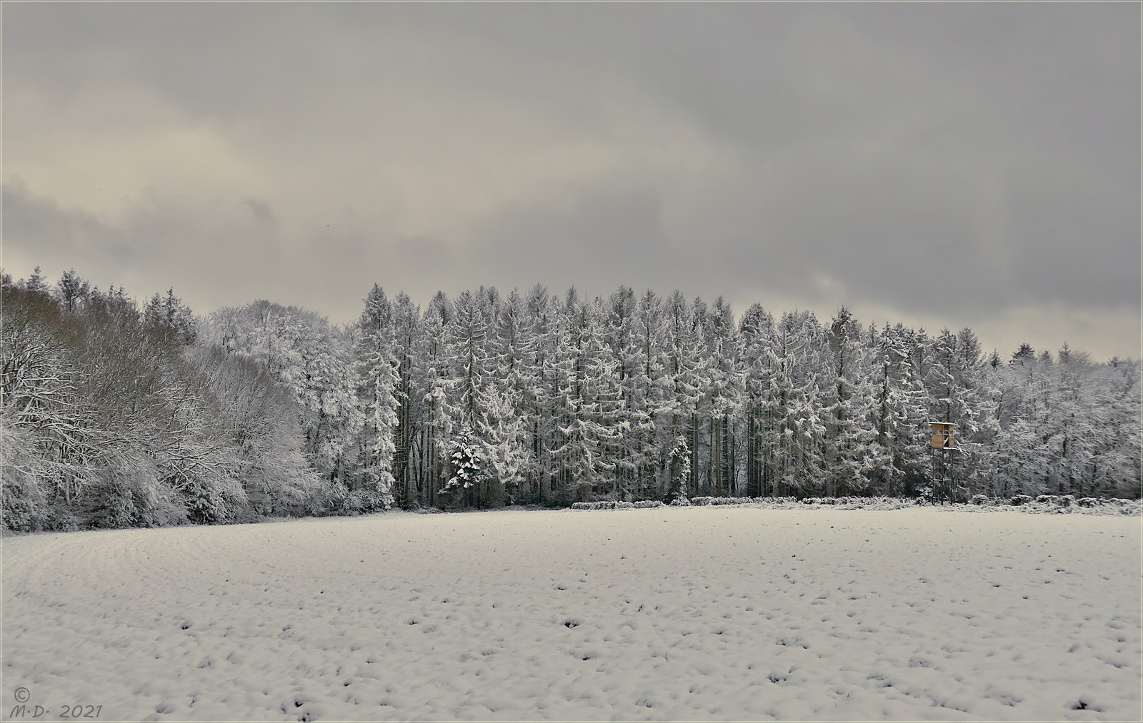 So einen Anblick hatten wir schon lange nicht mehr ...