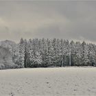 So einen Anblick hatten wir schon lange nicht mehr ...