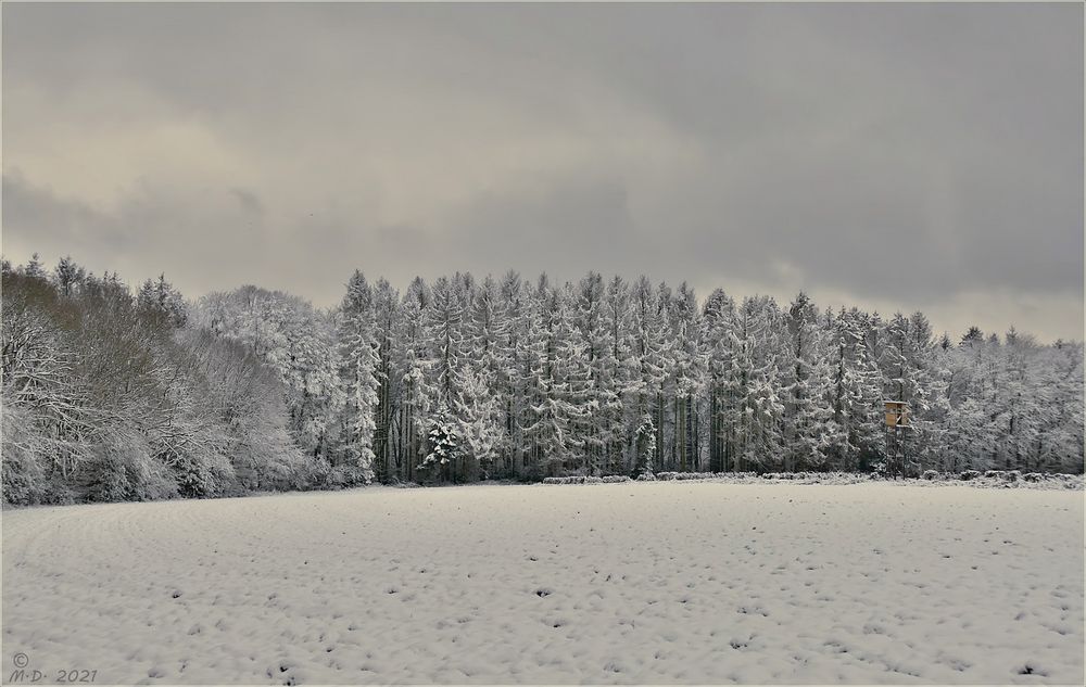 So einen Anblick hatten wir schon lange nicht mehr ...