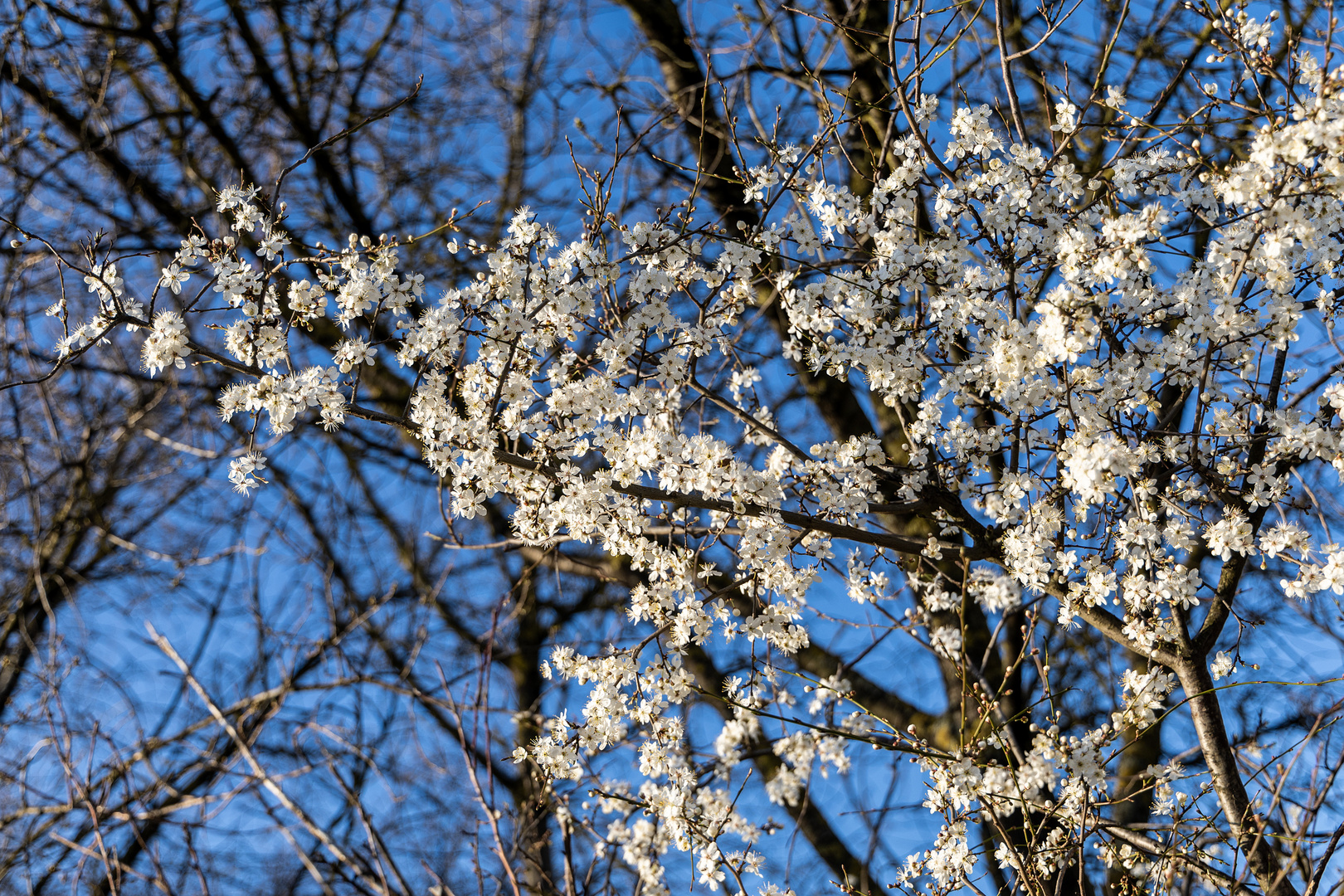 So einen blauen Himmel