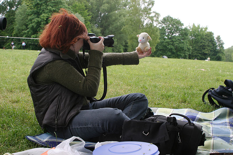 So entstehen die galeriewürdigen Wildlife-Tierfotos