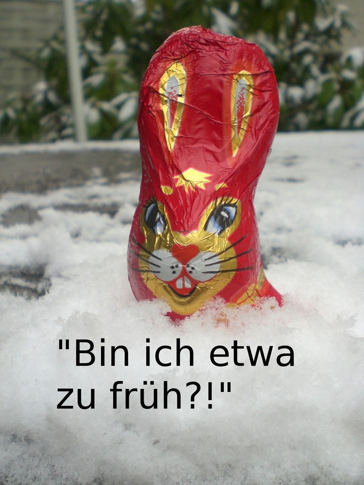 So erging es wohl vielen Hasen dieses Ostern