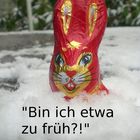 So erging es wohl vielen Hasen dieses Ostern