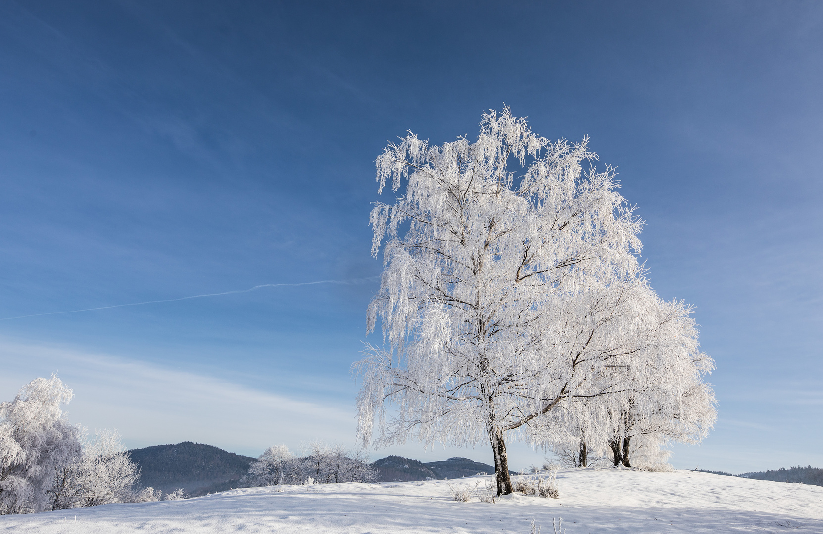 So erträumt man sich den Winter