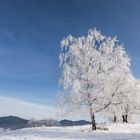 So erträumt man sich den Winter