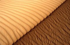so fein näht Mutter Natur - damit der Sand nicht aus der Düne fällt
