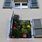 SO - Fenstergarten