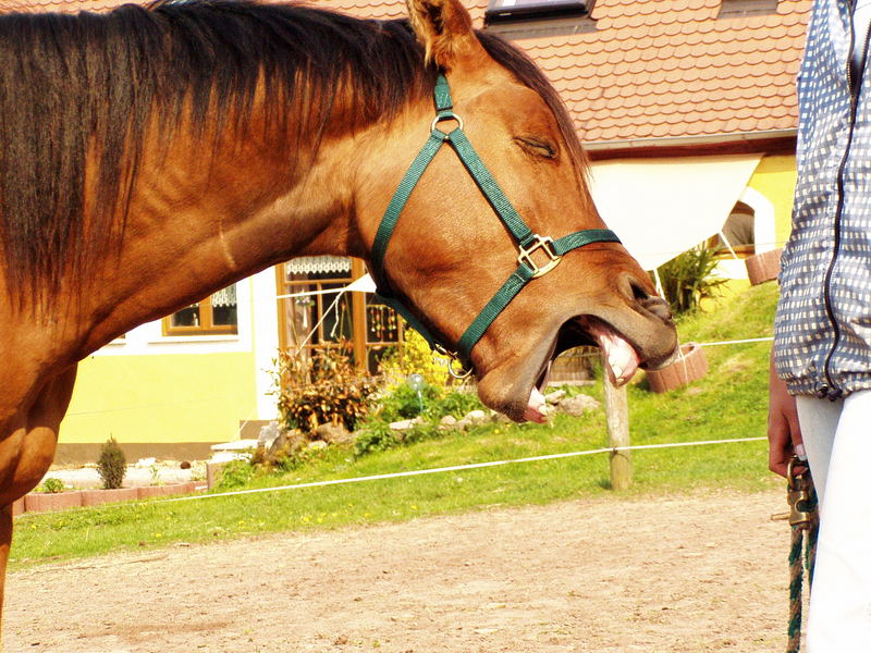 so früh und noch so müde!