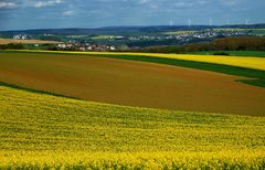 So früh wie noch nie, blüht jetzt im Saarland der Raps. ...