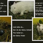 So funktioniert Ostern!