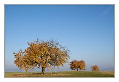 So gefällt mir der November