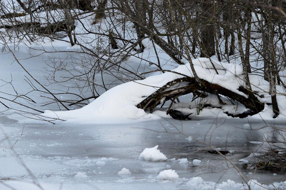 So gehört sich eine richtige Winterlandschaft!