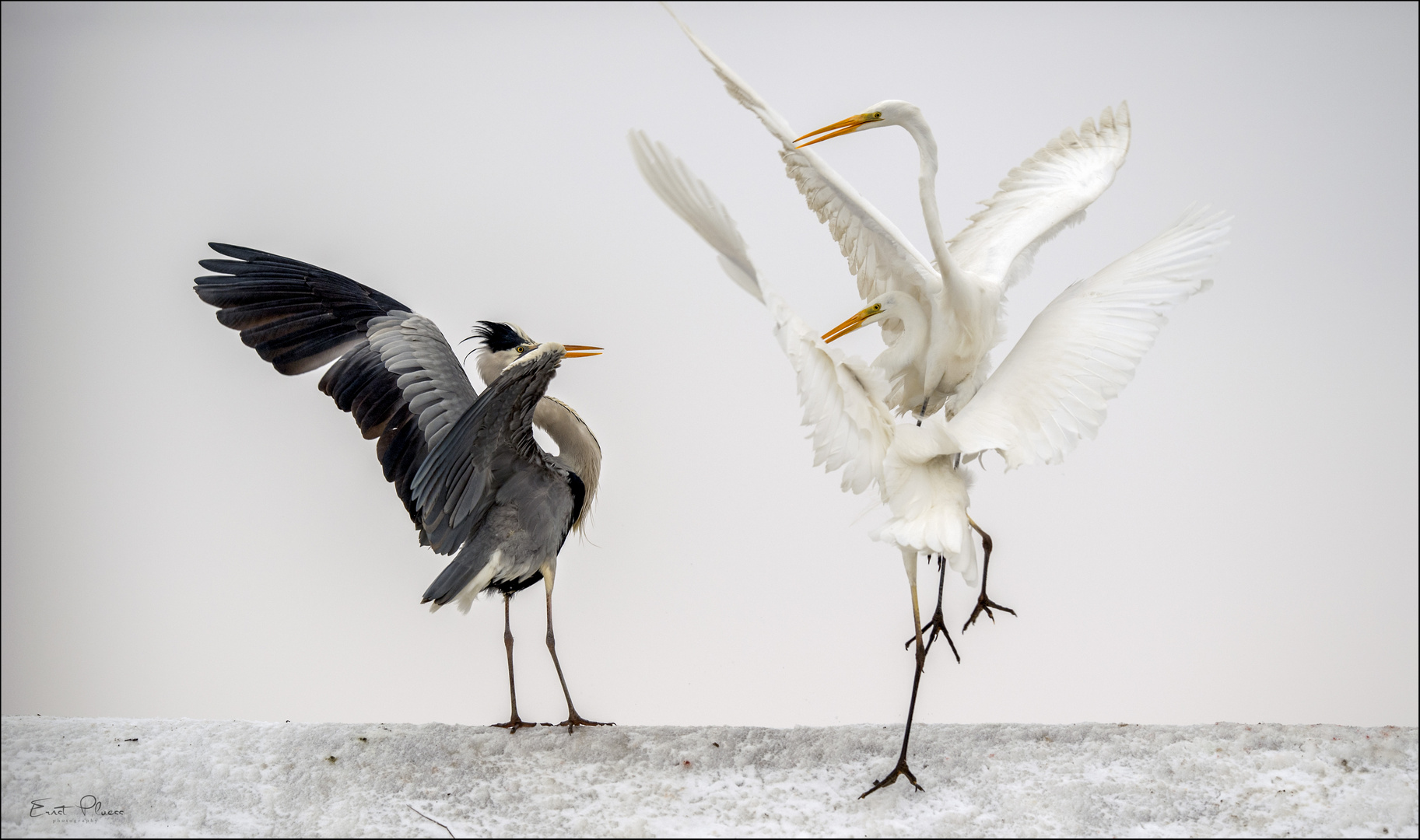 So, geht bei uns ein pas de deux...