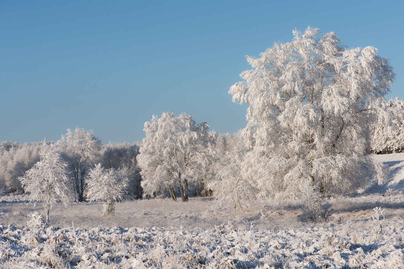 so geht Winter....