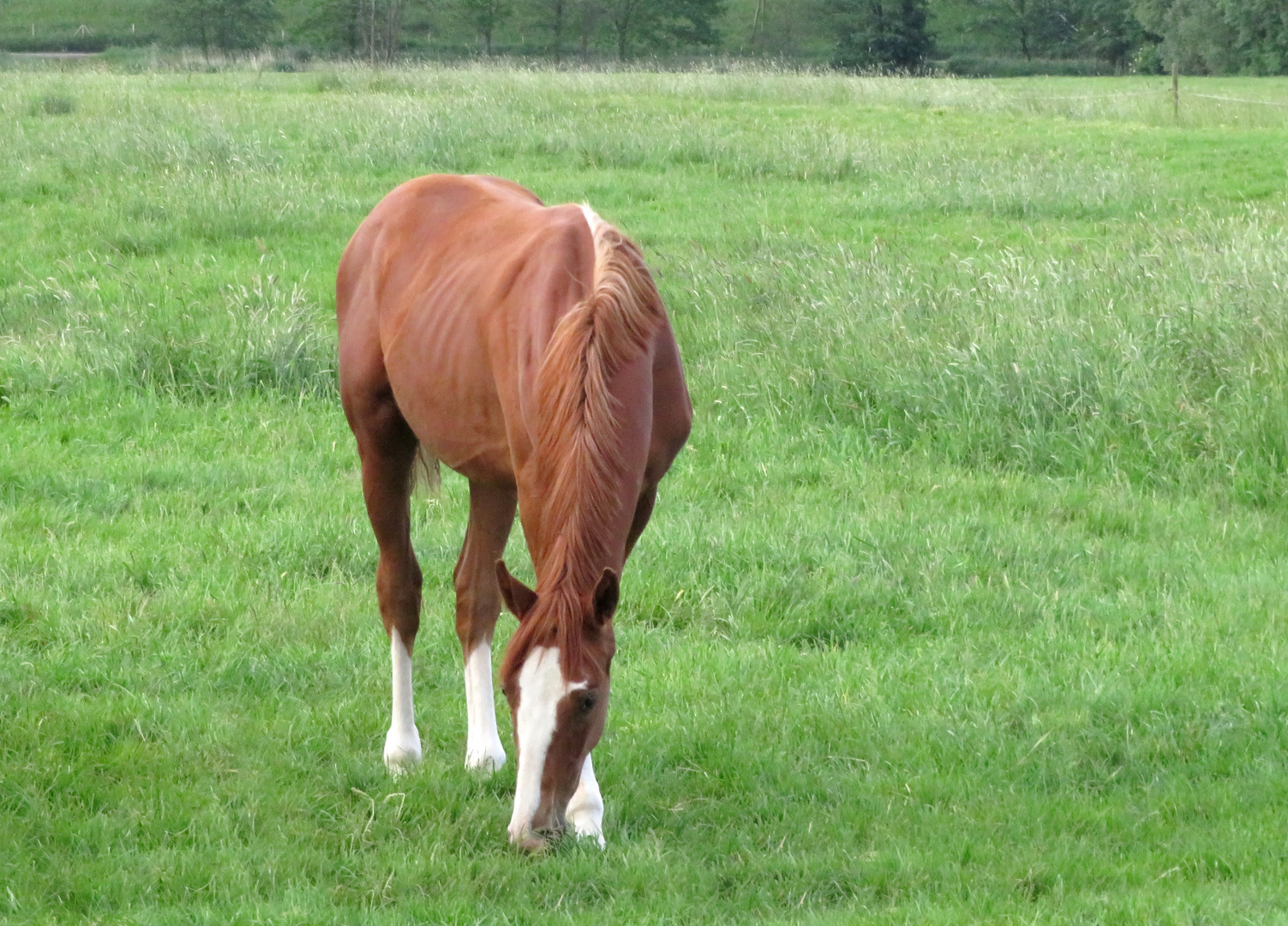 So Gesehen So Gesehen