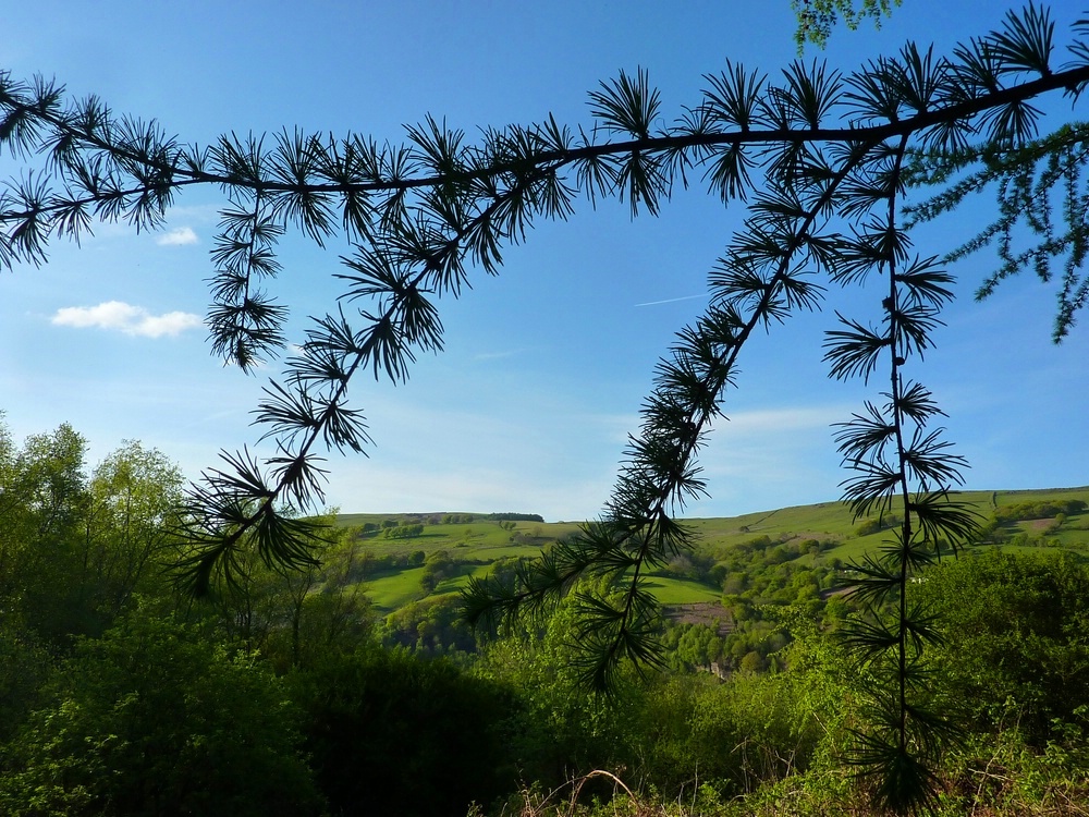 So green is my Valley