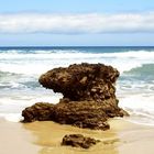 So groß und einfach die Welt am Strand, nur Wind und Wolken, nur Meer und Sand.