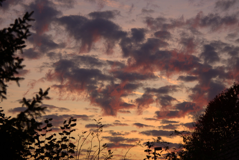 So habe ich den Sonnenuntergang noch nie gesehen.